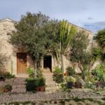 WhatsApp Image 2023-02-01 at 09.51.14-3