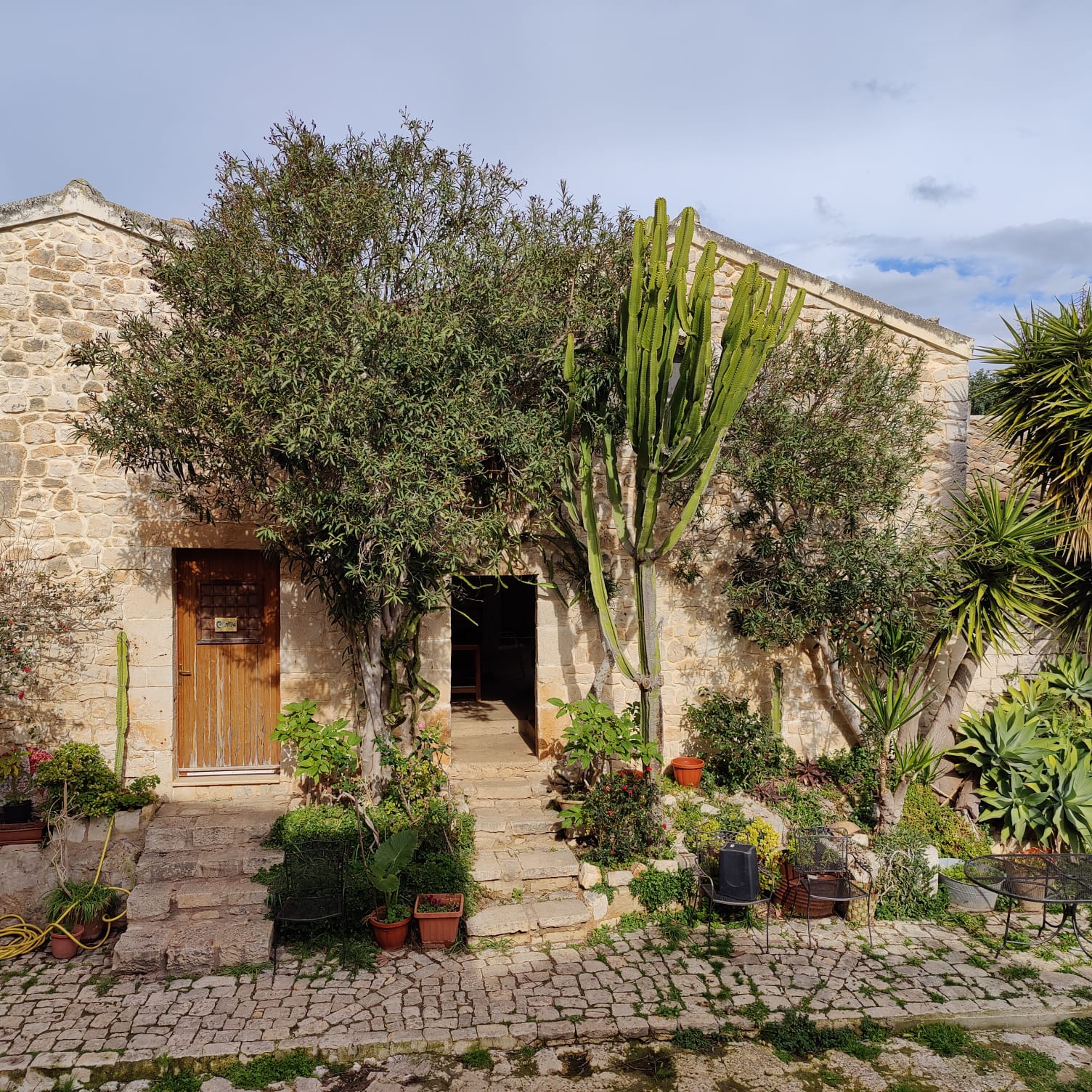 WhatsApp Image 2023-02-01 at 09.51.14-3